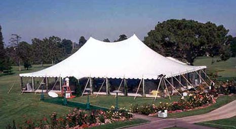 Canopy Pole Tent